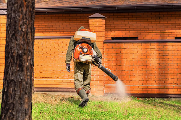 Bed Bug Clearance Verification and Documentation in Poplar Bluff